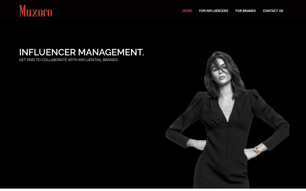 Screenshot of the Muxoro website built by Arrowbin